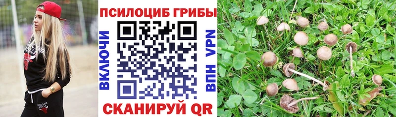 наркота  Остров  МЕГА   Псилоцибиновые грибы Cubensis 